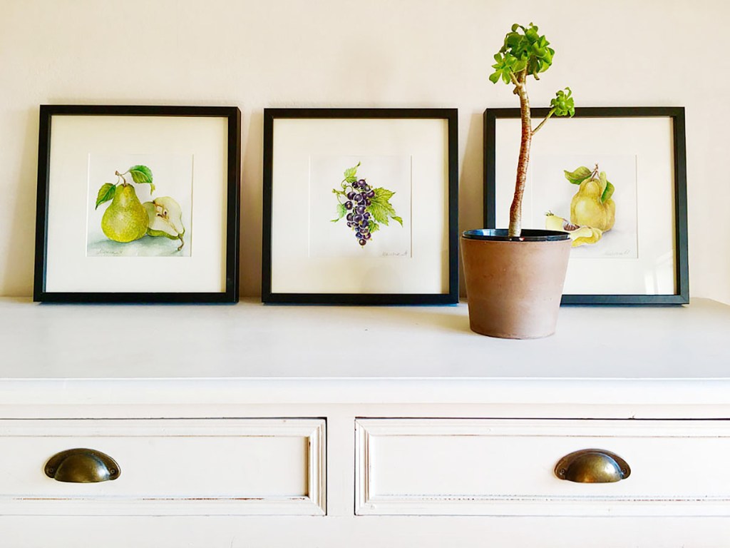 Watercolor botanical illustrations of pera, blackcurrant and quince for home decorations