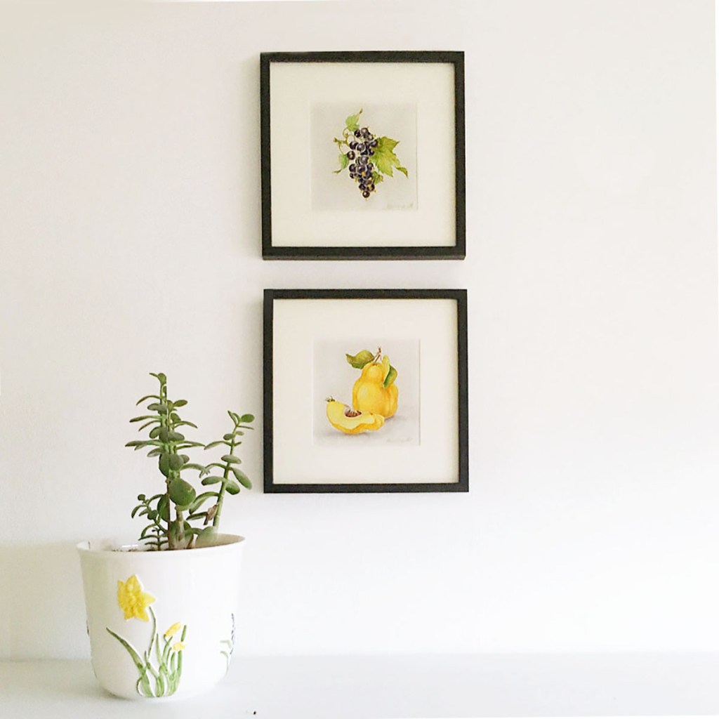 Wall prints of watercolor botanical illustrations of blackcurrant and quince for home design