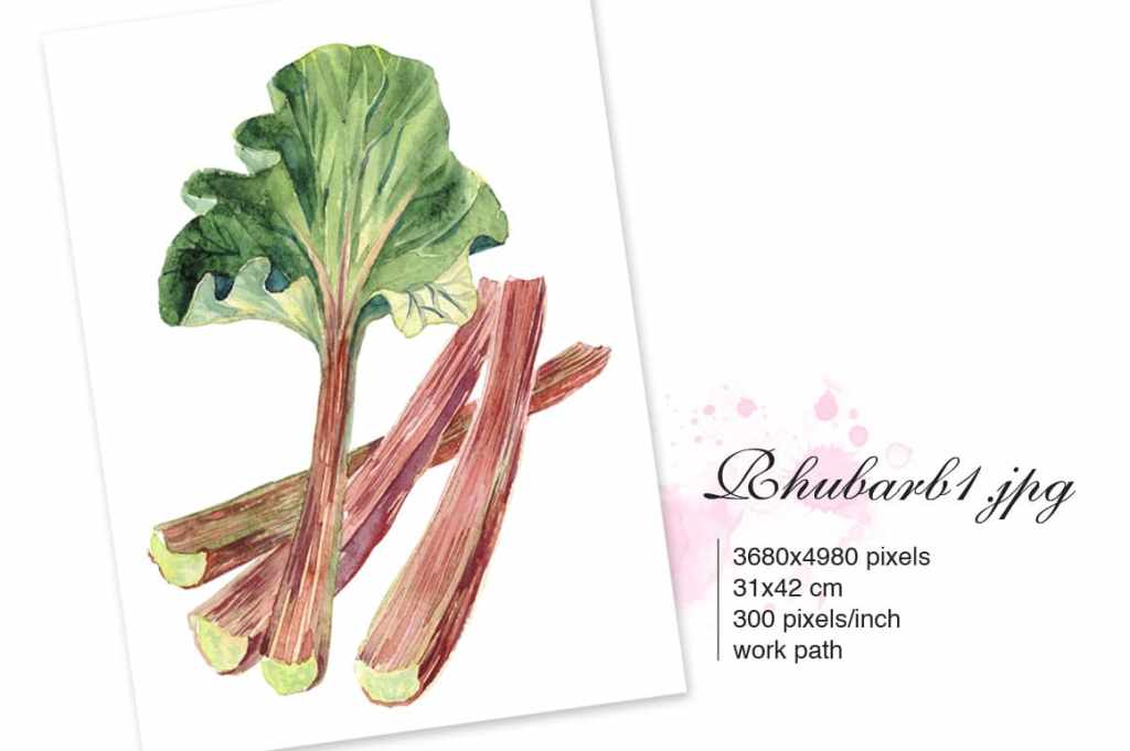 Rhubarb with leaf and and chopped stems of Rhubarb
