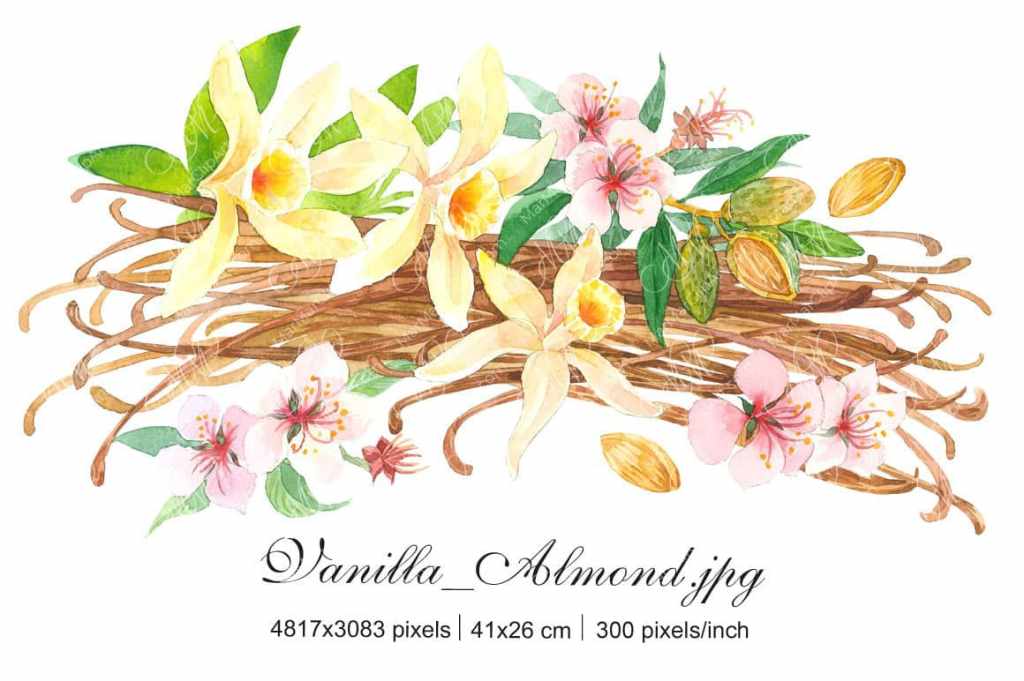 Vanilla and almonds with&nbsp;flowers