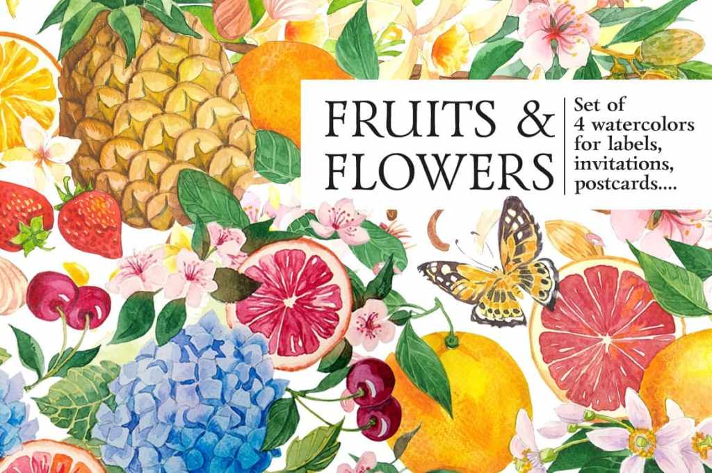 Fruits and Flowers. Set of 4 watercolour&nbsp;illustrations