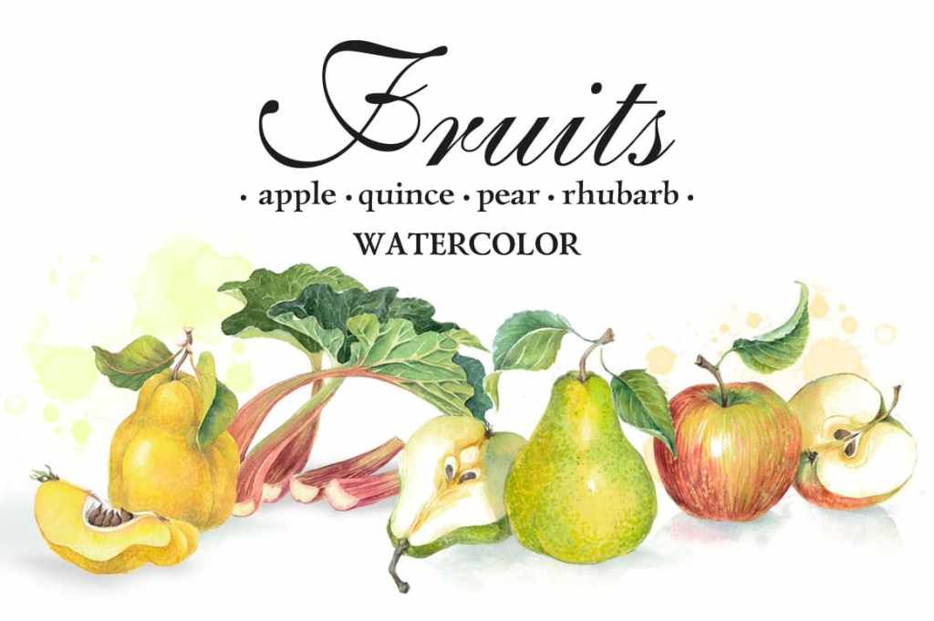Set of fruit watercolour illustrations in botanical style: apple, quince, pear,&nbsp;rhubarb