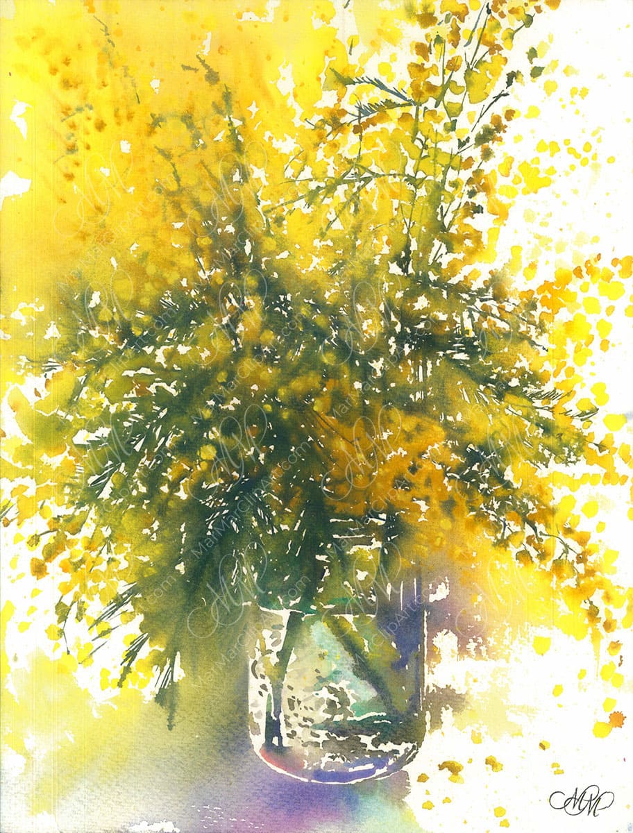 Sunlit Embrace: A Springtime Mimosa&nbsp;Reverie