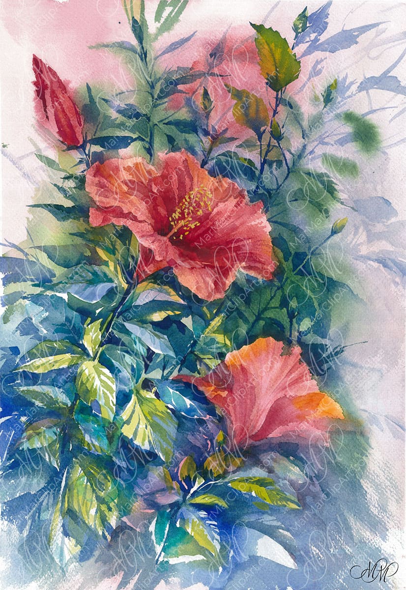 The watercolor painting “Red Hibiscus&nbsp;Flowers”