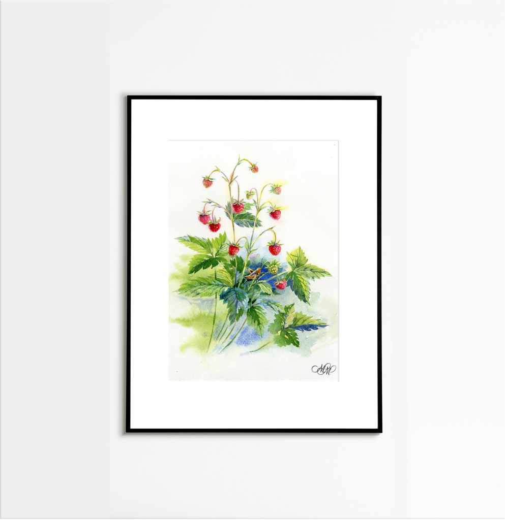 Wild Strawberries and Grasshopper. Watercolor painting in botanical style. Home decoration