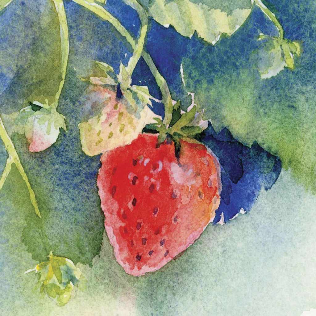 fragment of Strawberries watercolor painting 