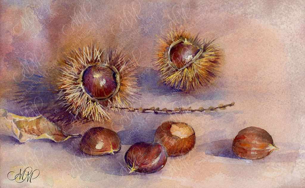 Chestnuts San Zeno di Montagna. Watercolor Still&nbsp;Life