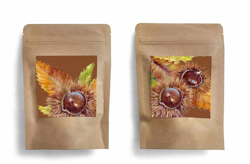 Packaging design, labels Chestnuts and leave of Chestnuts