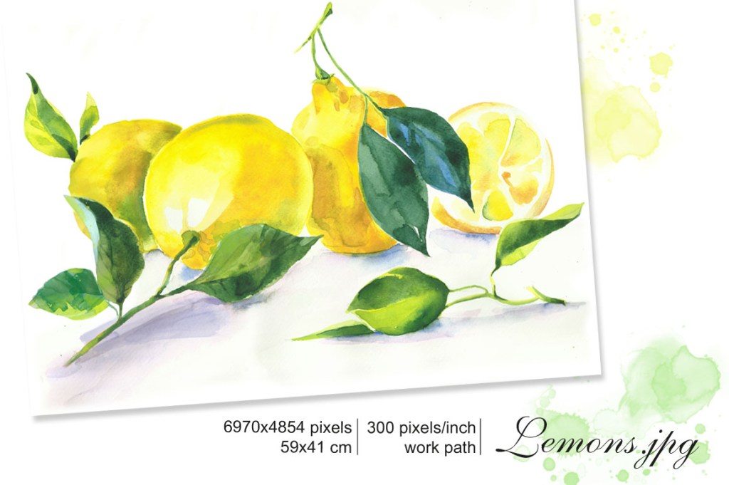 Lemons. Watercolor illustration
