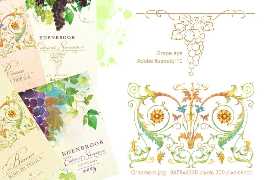 Italian baroque ornament and vector vignette featuring grapes