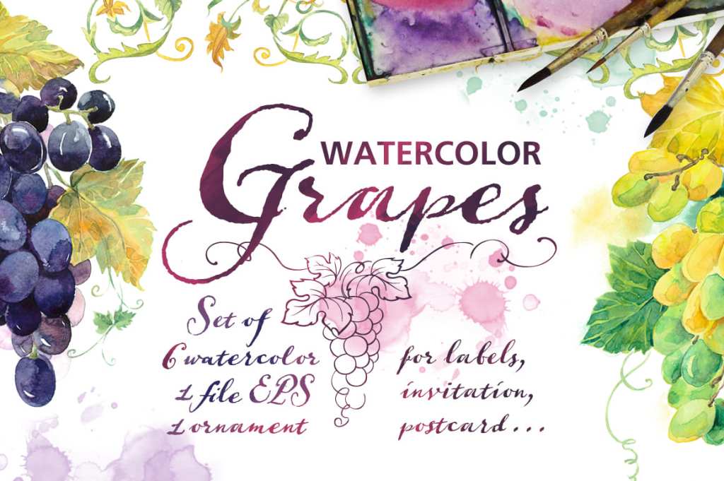 Watercolor Grapes clipart&nbsp;set