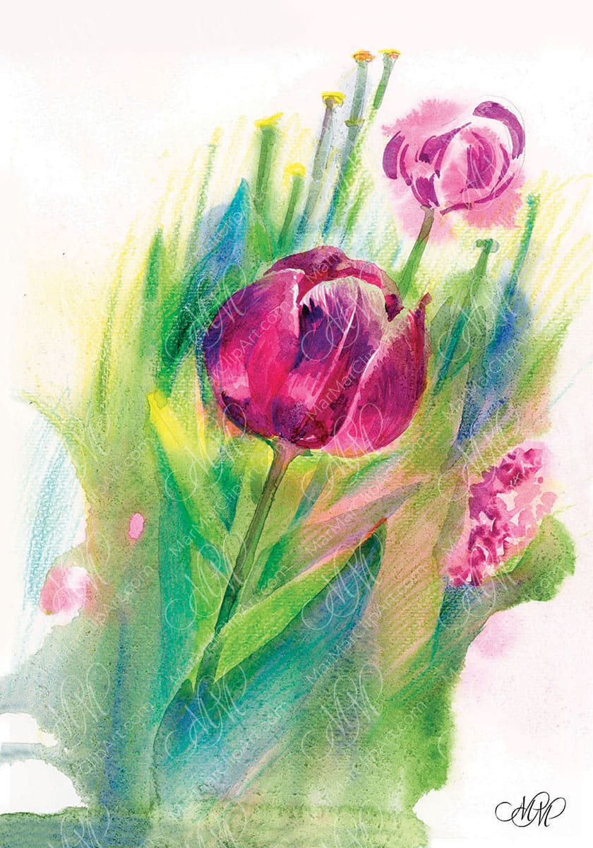 Burgundy Tulips. Velvet&nbsp;Bloom