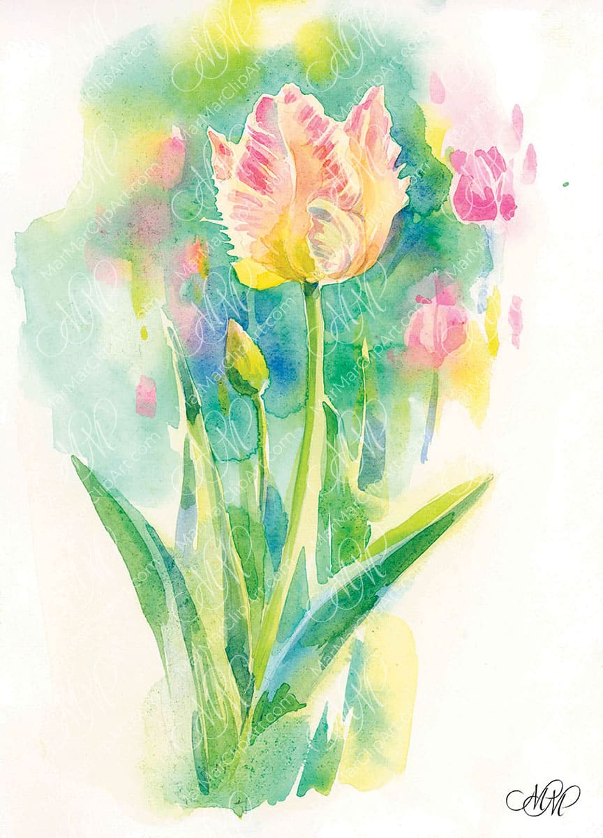 Parrot Tulip – Spring&nbsp;Whisper