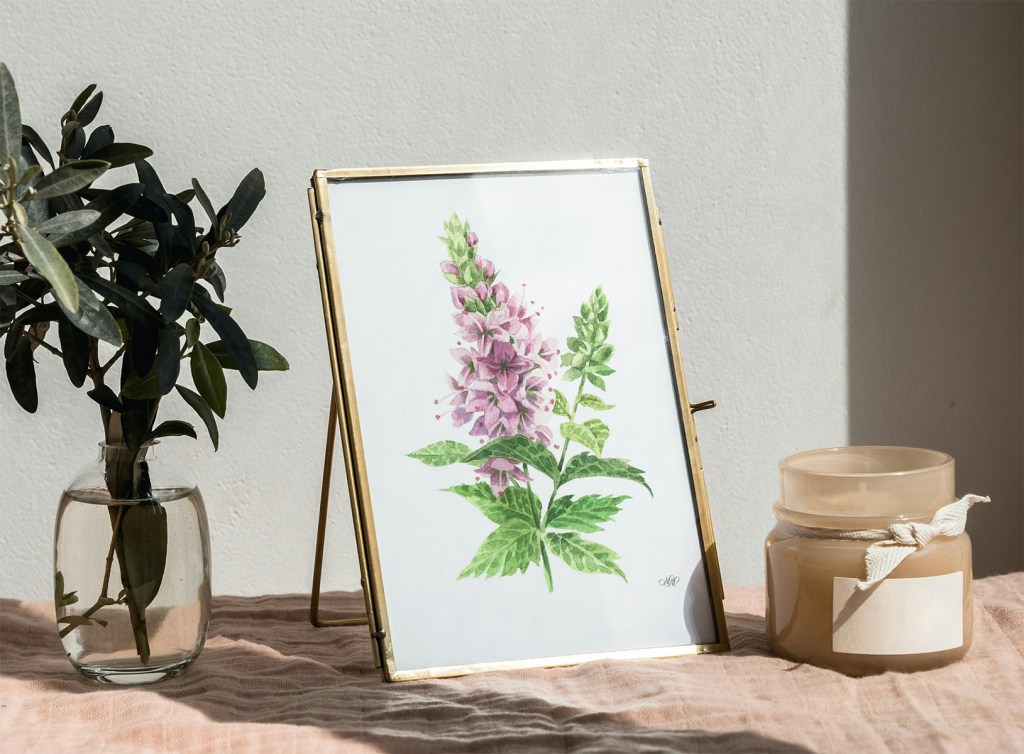 Pepermint watercolor illustration. Art print. Instant download