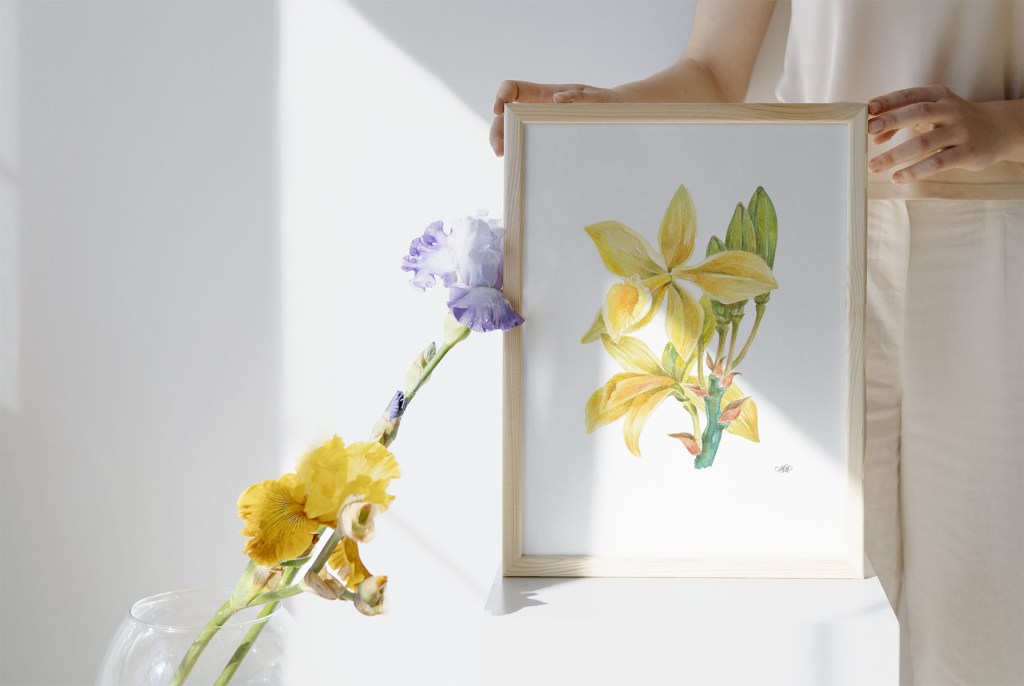 Vanilla watercolor illustration